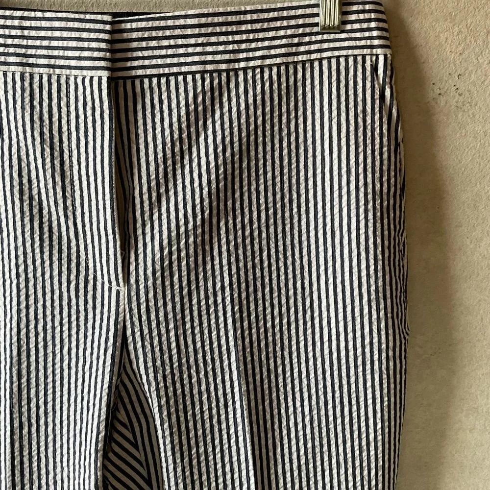 Zara pants. Navy blue and white. NWT. Size XL